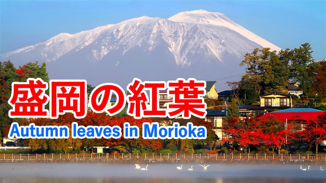 岩手県 盛岡の紅葉名所めぐり ( 高松の池 / 盛岡城跡公園 / 石割桜 ) / Autumn leaves in Morioka ( Iwate Japan )【日本の紅葉絶景！】 [ 4K ]