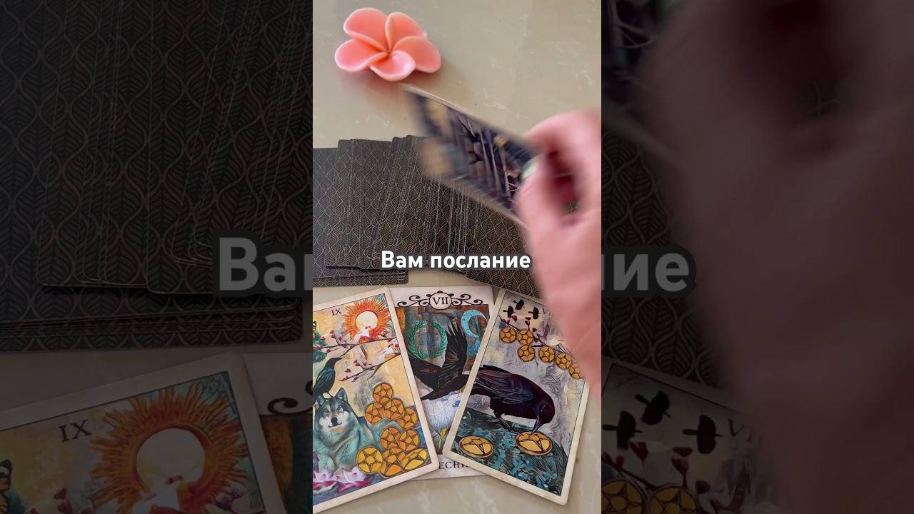 #таро #chill #гадание #cover #tarot #таролог #гаданиеонлайн