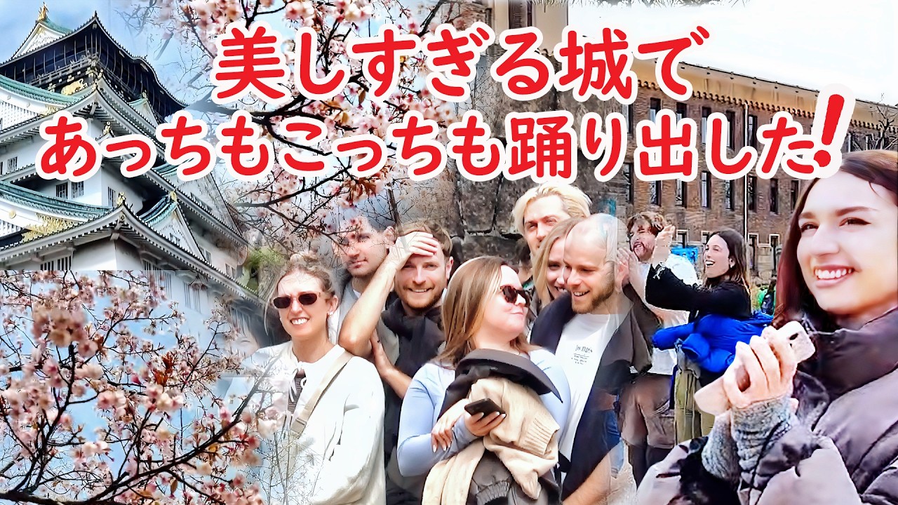 【大ウケ！】外国人あっちもこっちも踊り出す！予期せぬ桜満開にみんな感激！海外の反応　大阪観光 Japan  Osaka Castle