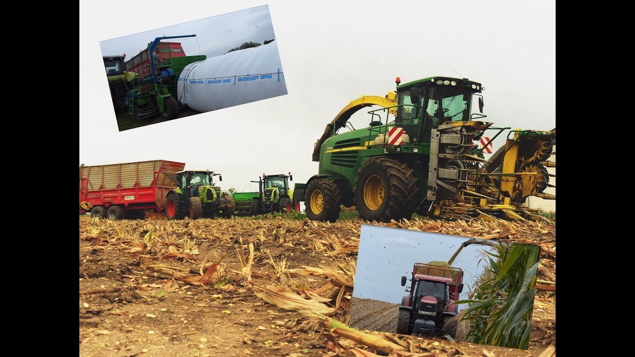 Kiszonka z Kukurydzy w rękaw Budissa Bag 2019! John Deere Case Class Usługi Dom-Rol
