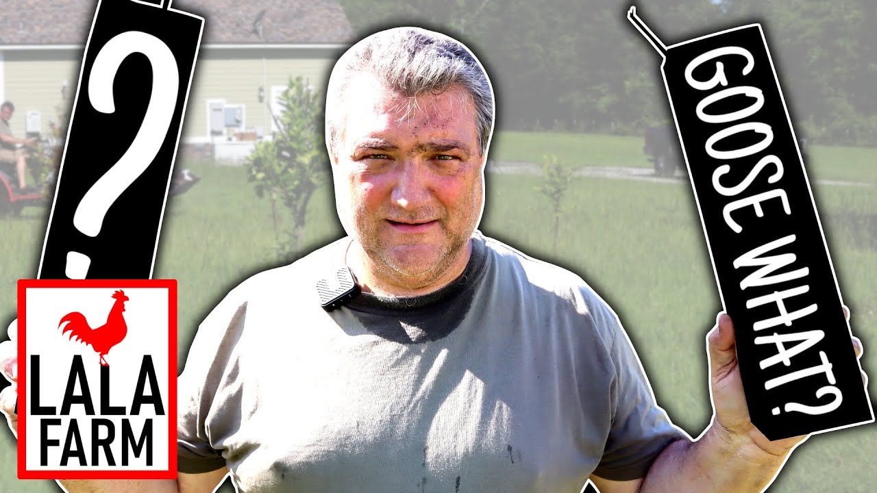 WHAT IS PAPA DOING NOW!? • Visiting our Small Orchard