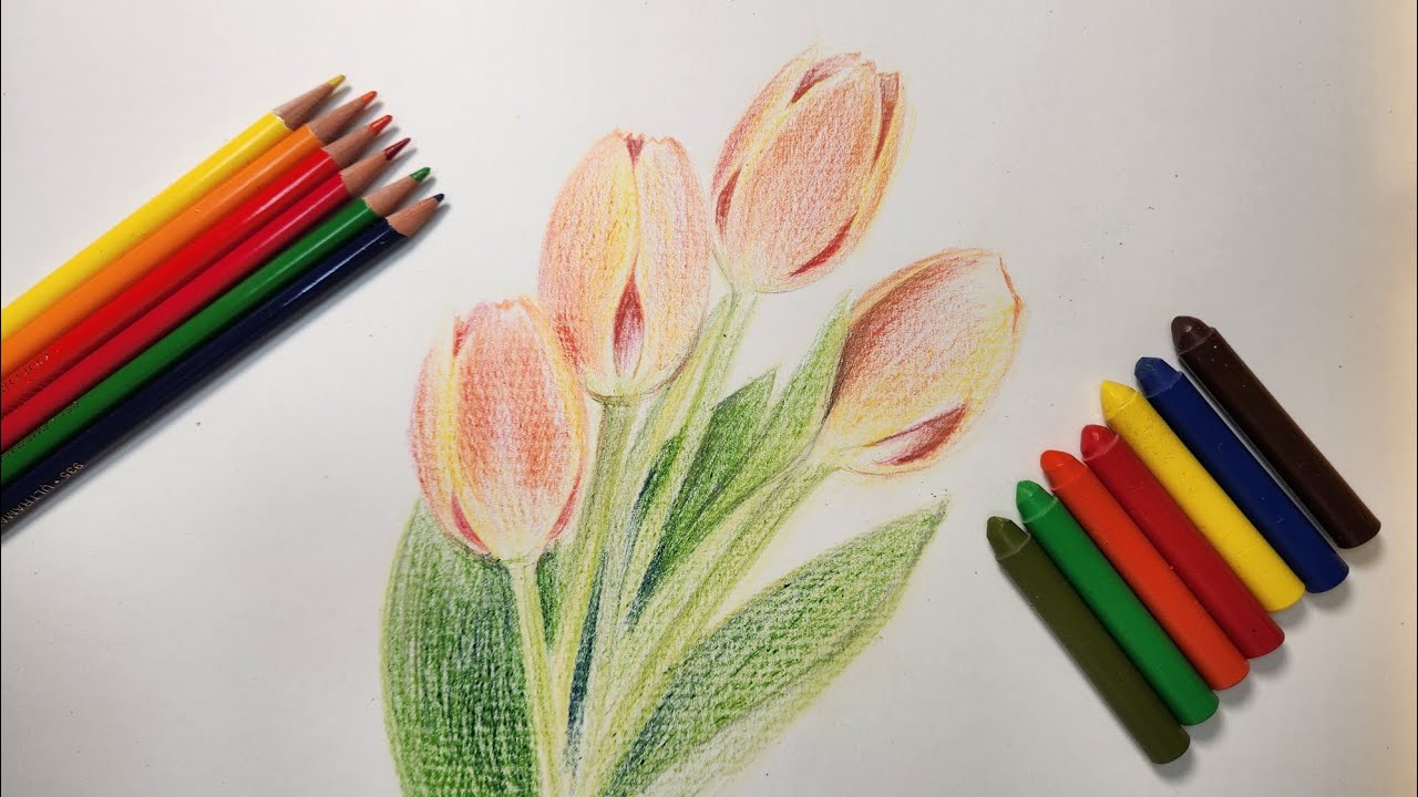 ​How to draw Beautiful Tulips with Crayons & Pencils 🌷