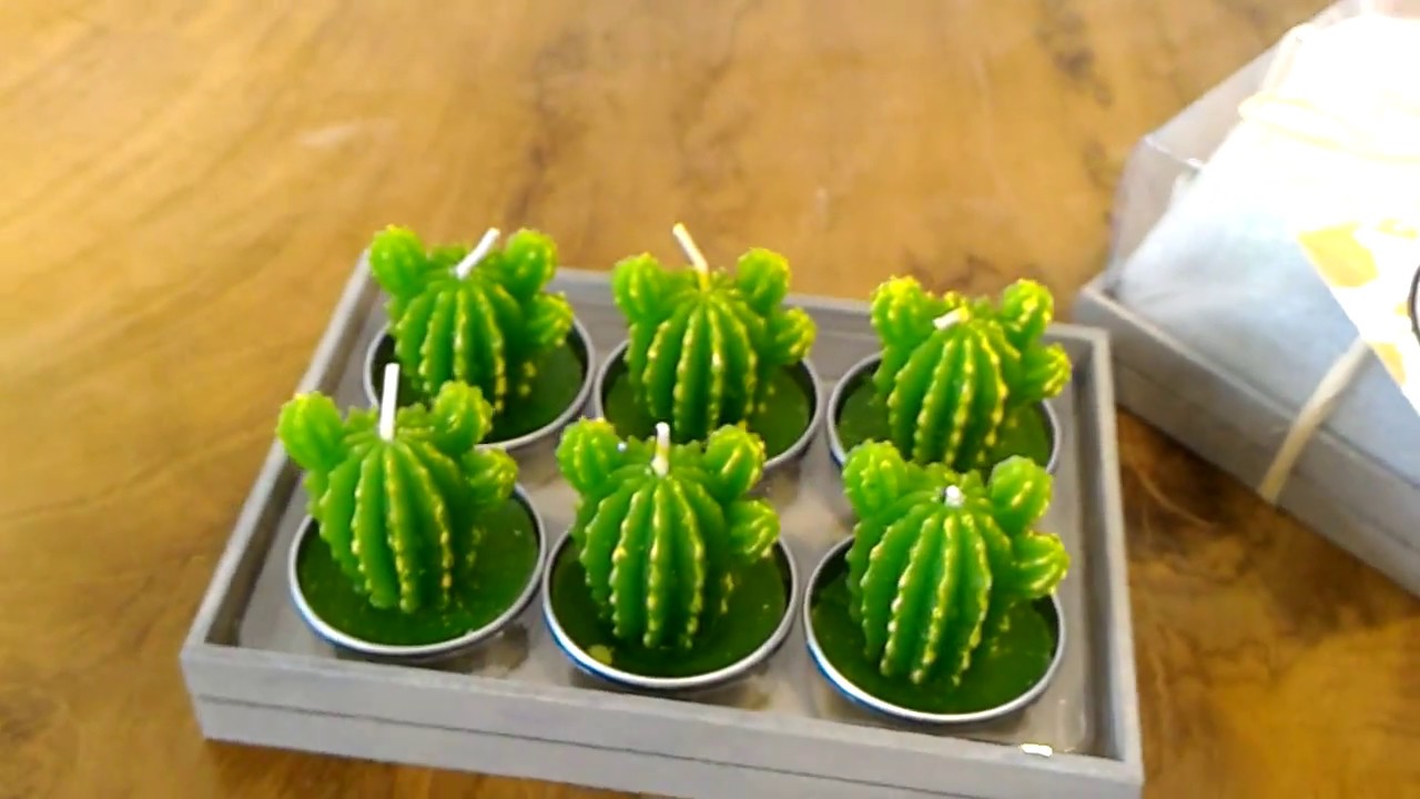 Cactus Candles : Nos Natura Eco Decor Green Cute (2018 Nos Natura)