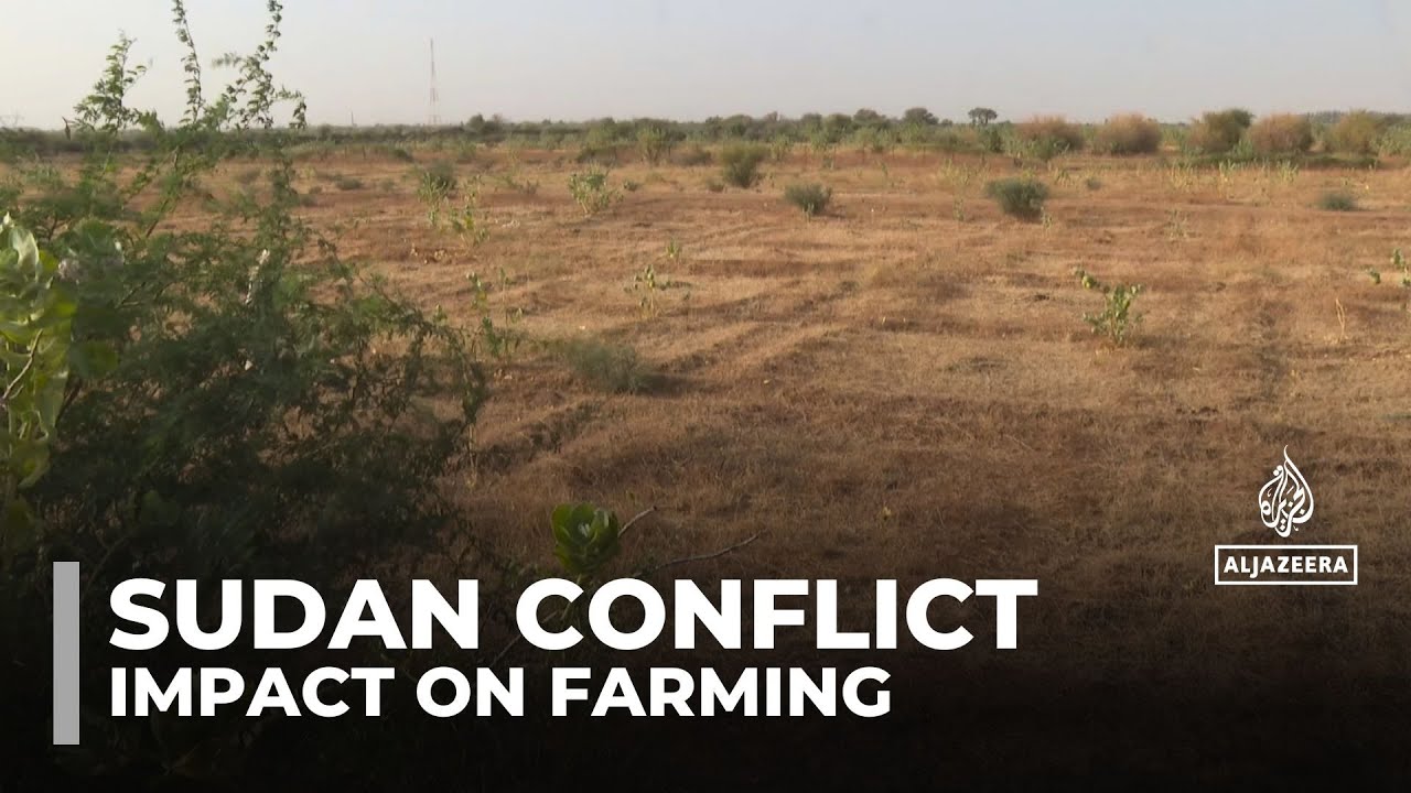 21 months of conflict in Sudan cripple farming and food production