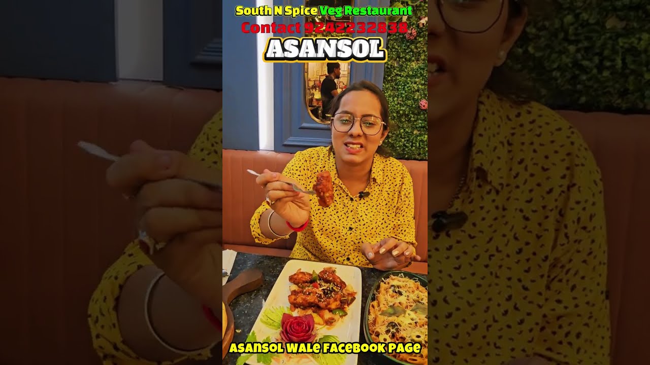 Asansol South N Spice restaurant Asansol veg restaurant Asansol food vlogger asansol