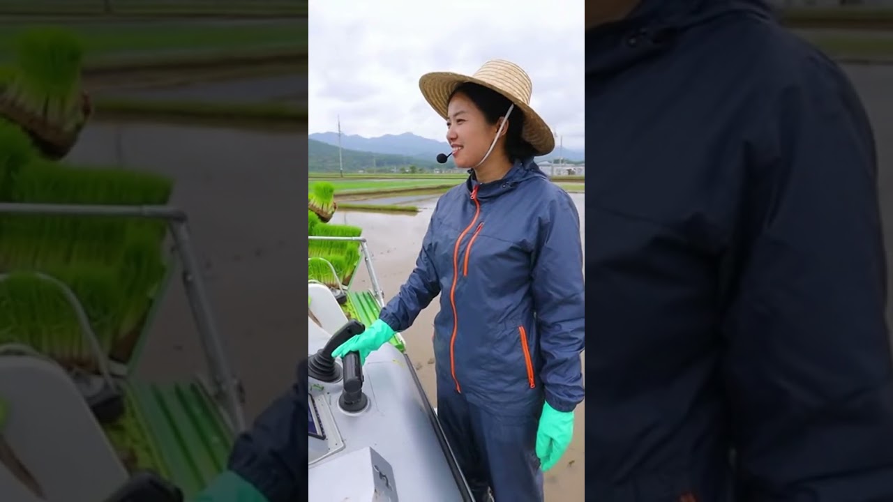 The Future of Farming Robotic Rice Planter Revolutionizing Agriculture Fast