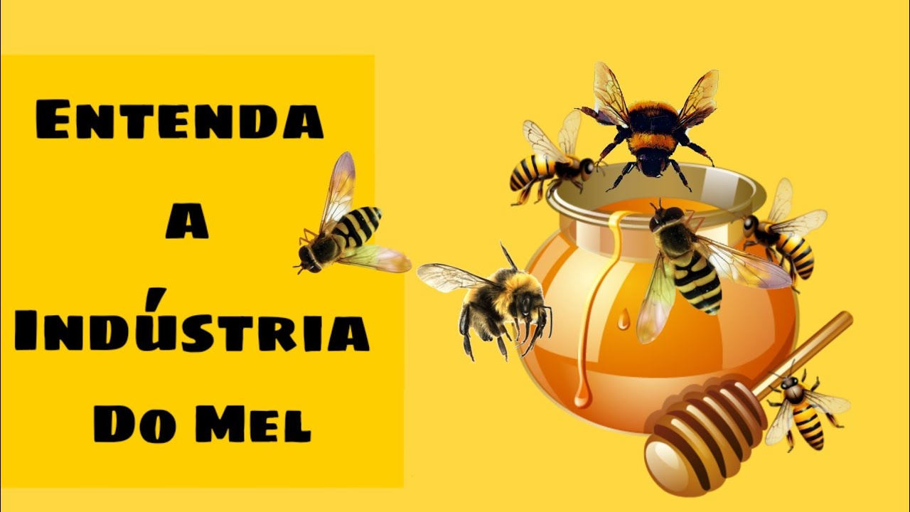 A IND&Uacute;STRIA DO MEL N&Atilde;O QUER QUE VOC&Ecirc; SAIBA DISSO!