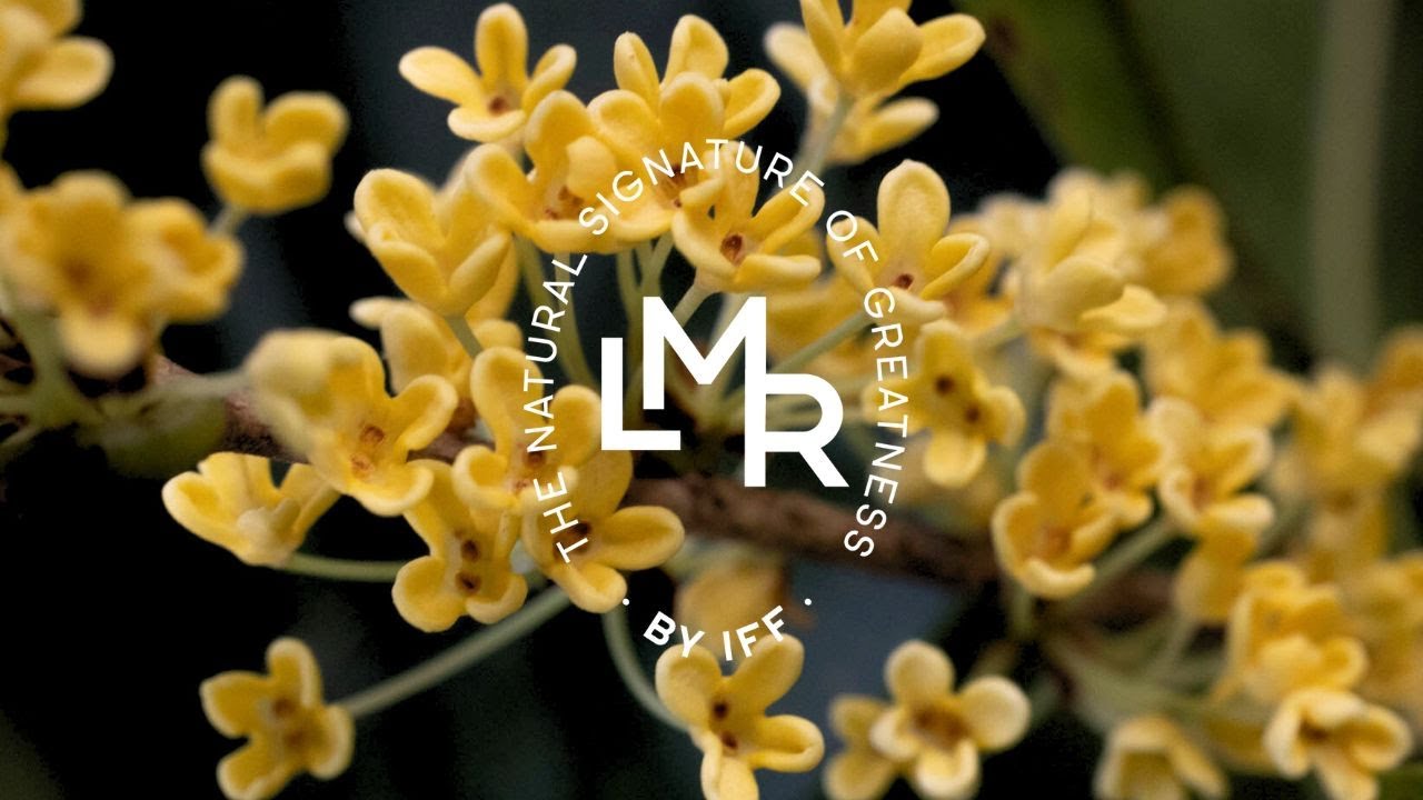 LMR Naturals by IFF : Osmanthus China
