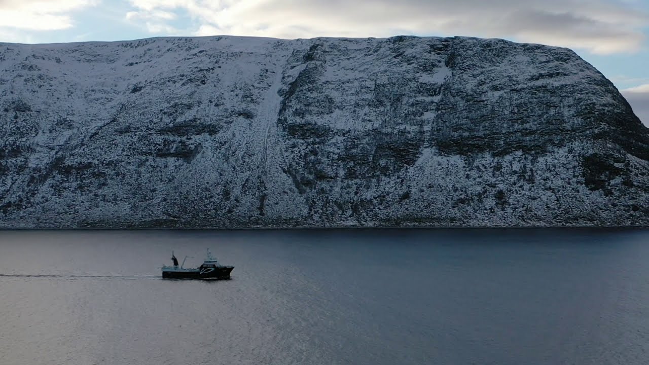 Nordic Wildfish AS - FV Synes