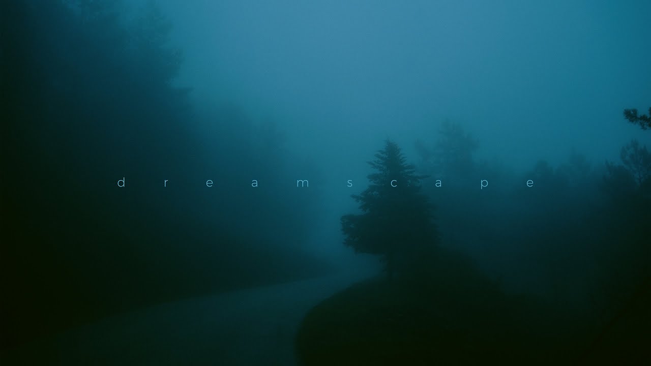 øneheart, analog_mannequin - asleep