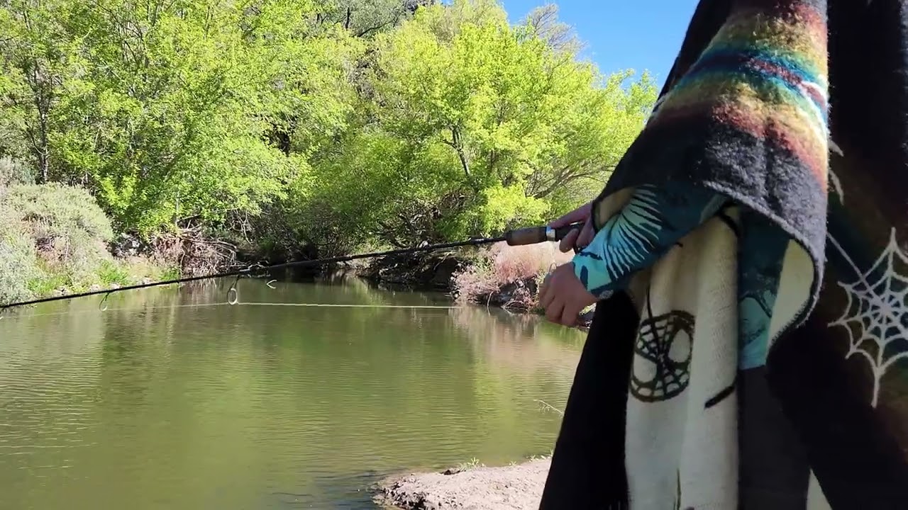 Nevada small creek fishing
