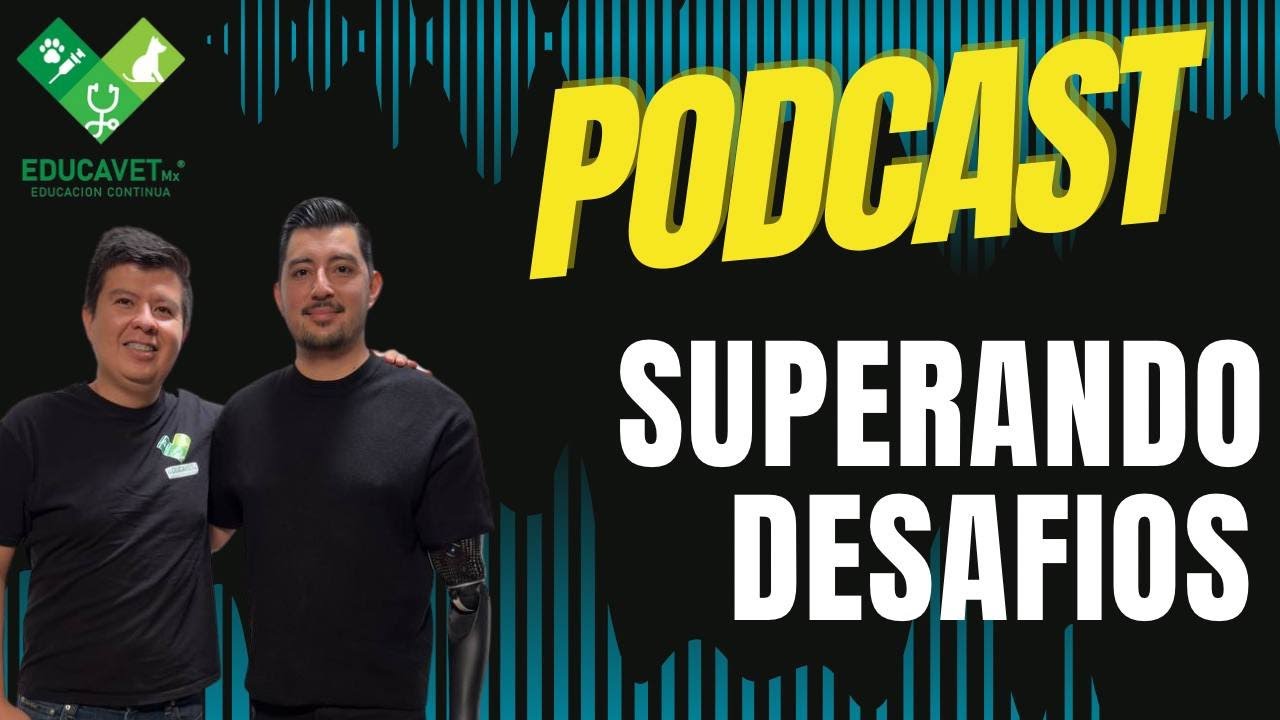Superando Desafios