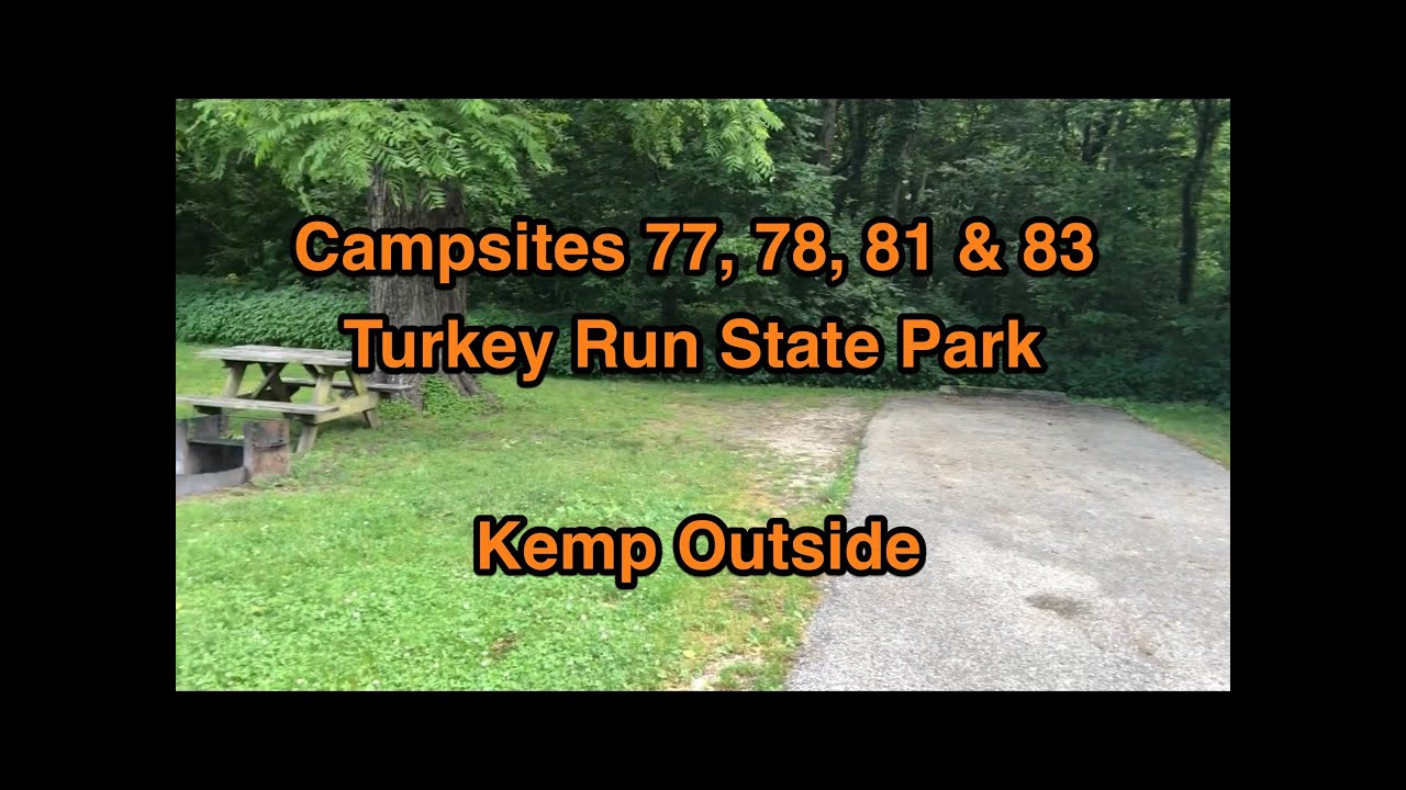 Turkey Run State Park Campsites 77, 78, 81 & 83 | Camping in Indiana | Campsite Reviews