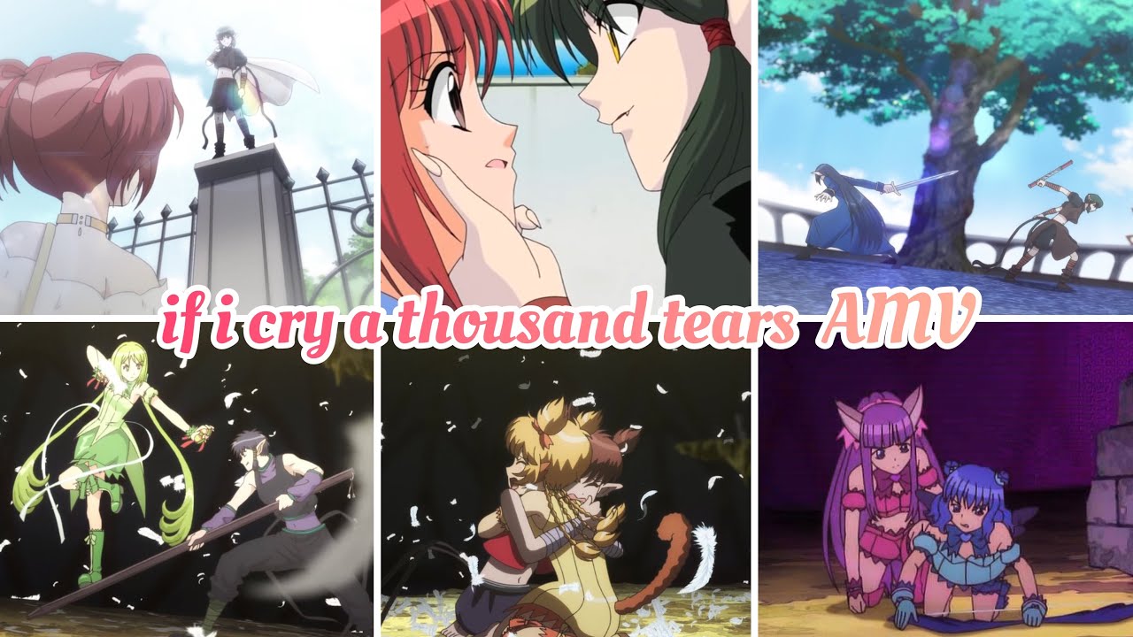 Tokyo mew mew ★ if i cry a thousand tears  AMV