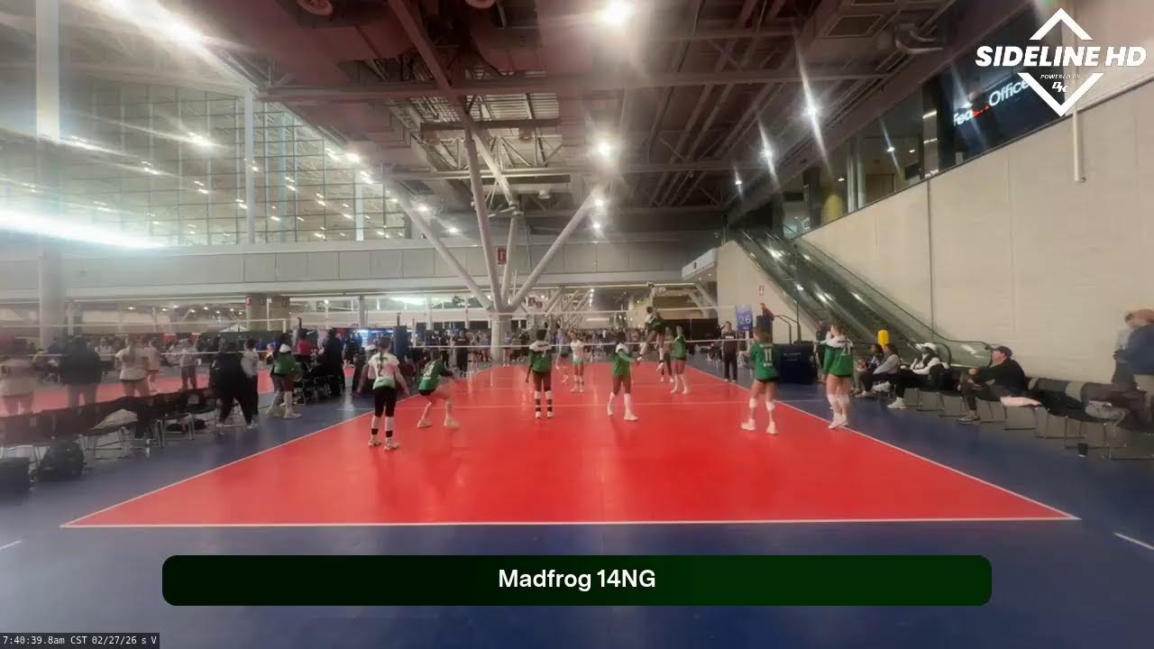 Madfrog 14NG (2026.02.27)