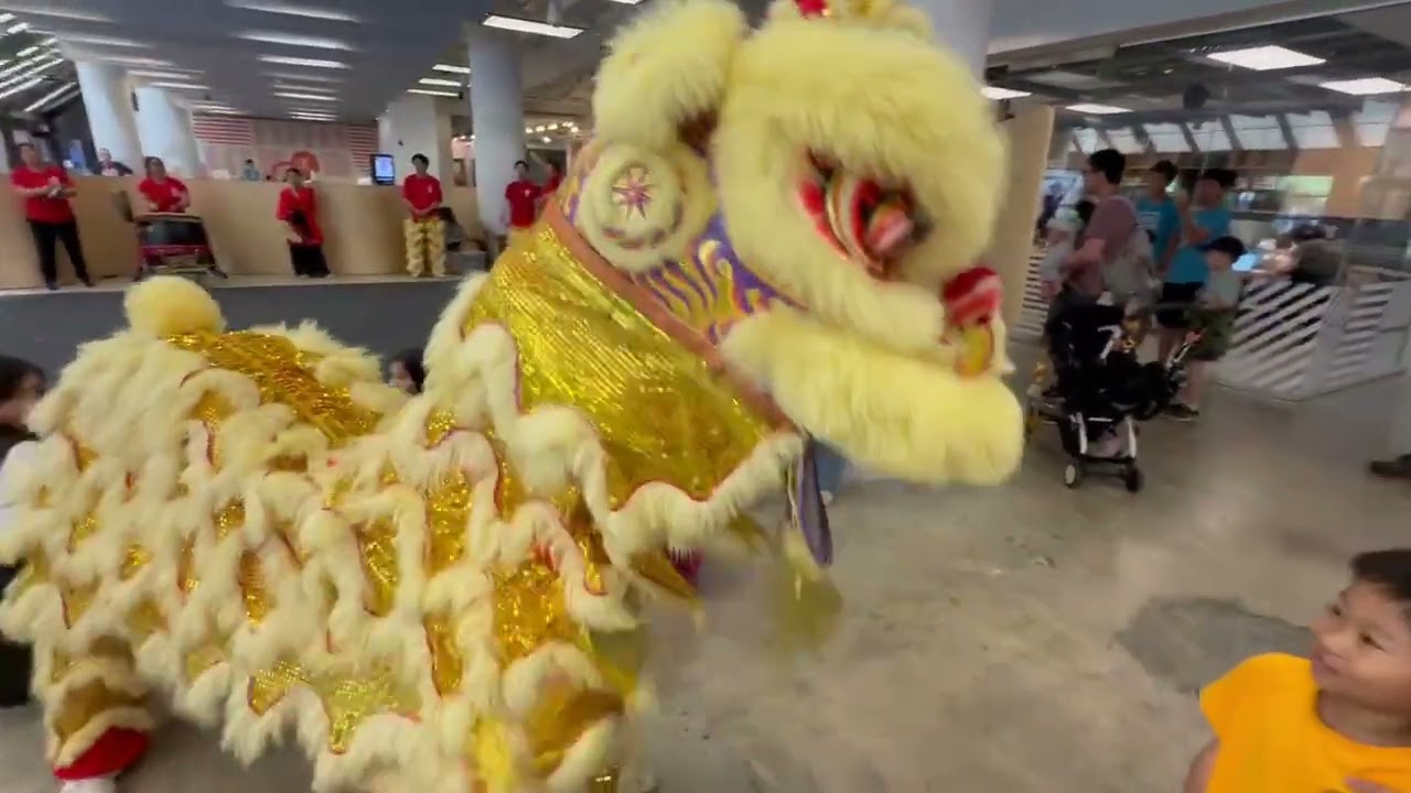 East Rising Lion Dance Troupe: KID Museum