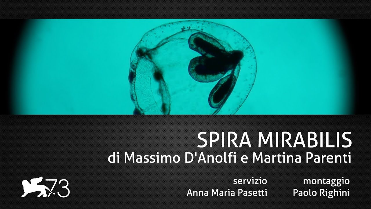 SPIRA MIRABILIS di Massimo D'Anolfi e Martina Parenti