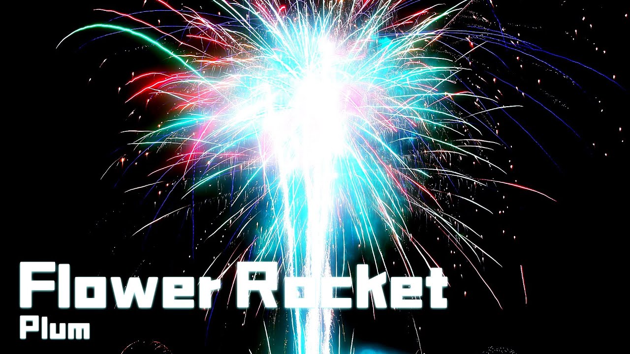 밤하늘에 화려하게 흩날리는 불꽃처럼 / Flower Rocket by Plum
