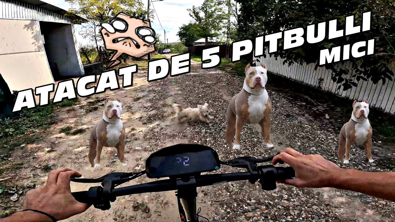Sunt ATACAT de 5 