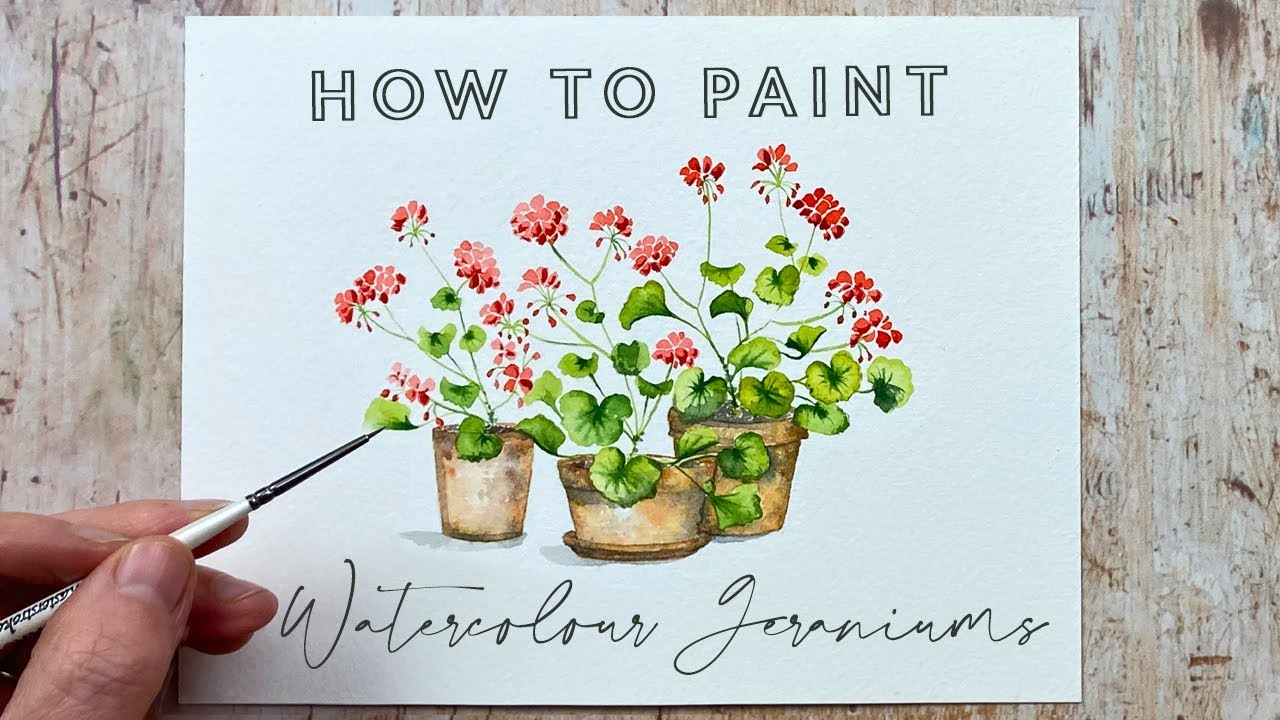 How to Paint Watercolour Geraniums
