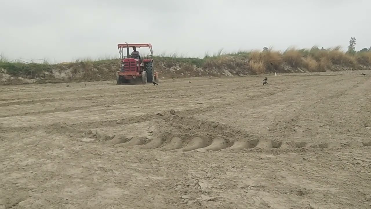 Harwasting mahandra 855 Farming openlion