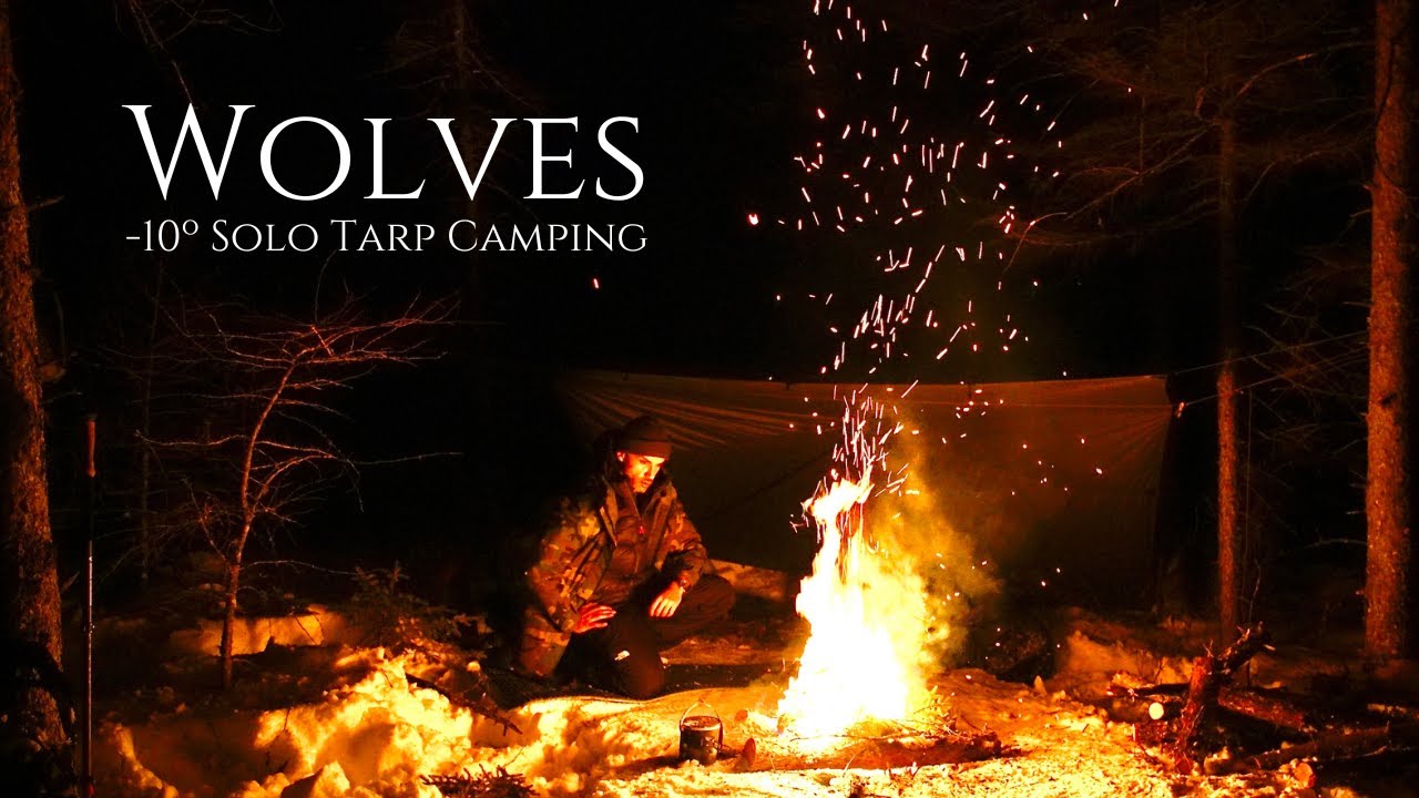 Winter Camping Alone near WOLVES! -10&ordm;C