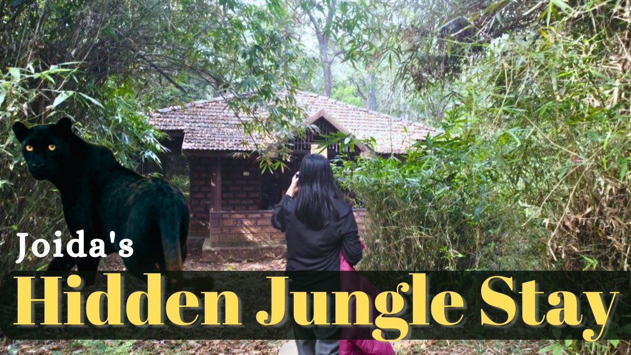 Best Jungle Stay in Joida - Dandeli | KAADUMANE Experience #dandeli