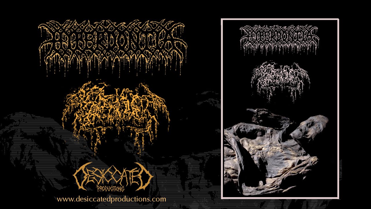 Hyperdontia / Septage (Full Split)