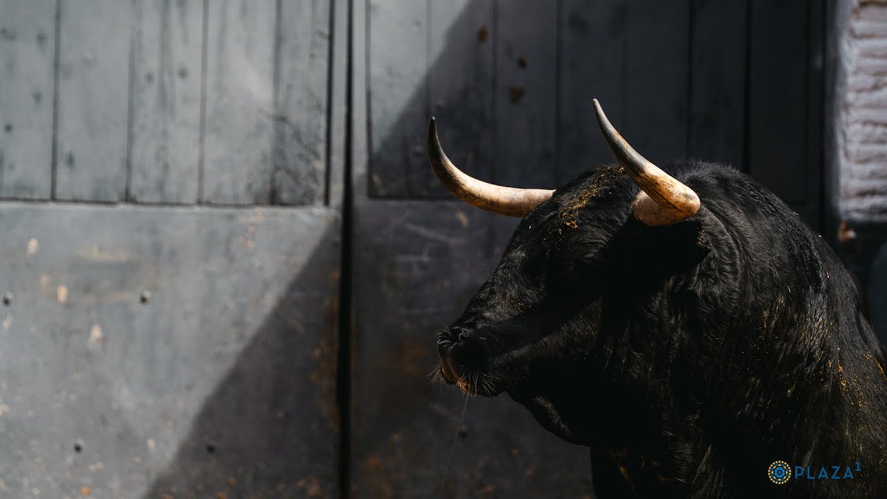 Sorteados los toros de Victoriano del Río y Toros de Cortés para el arranque de San Isidro.