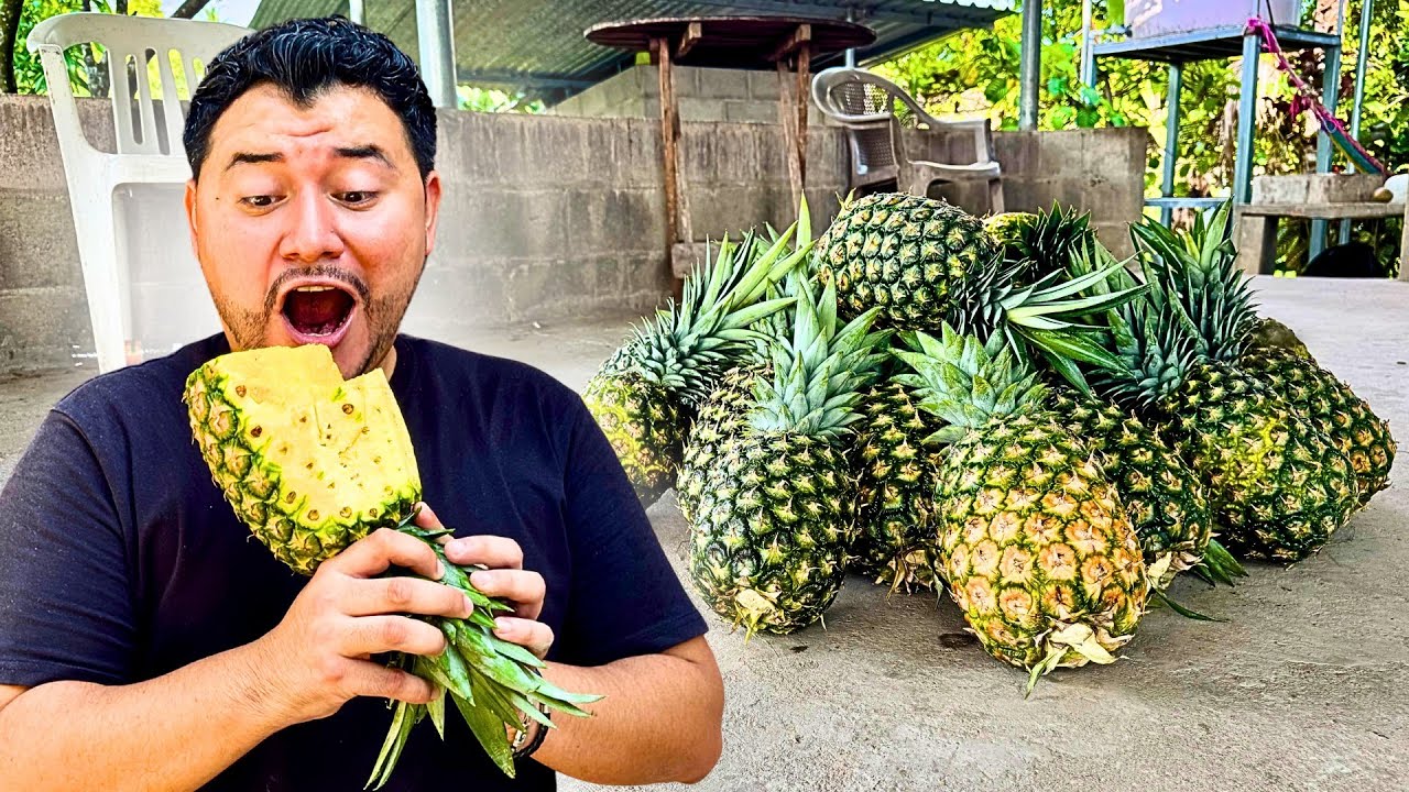 LAS MEJORES PIÑAS de EL SALVADOR | Santa Maria Ostuma