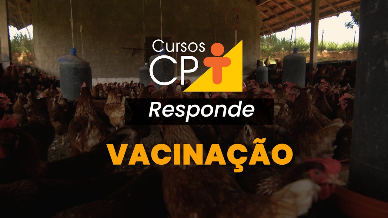 CPT RESPONDE: Vacinas para aves - após a pré-mistura com diluente, em quanto tempo usar? l CPT