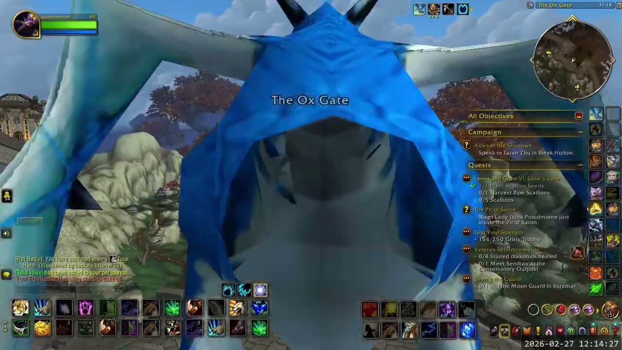 Housing Adventures 024! Farming for Panda Decor Rep and more Timeless Island!