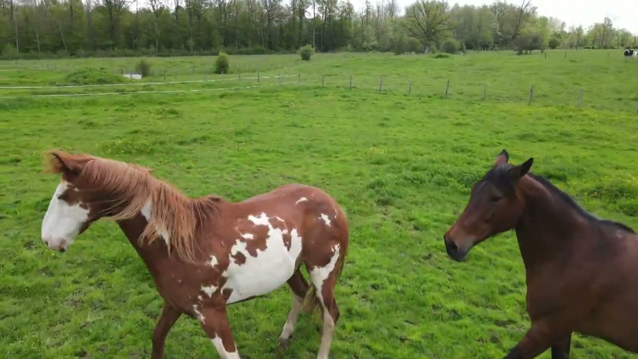 ranch des &eacute;perviers, Andernay