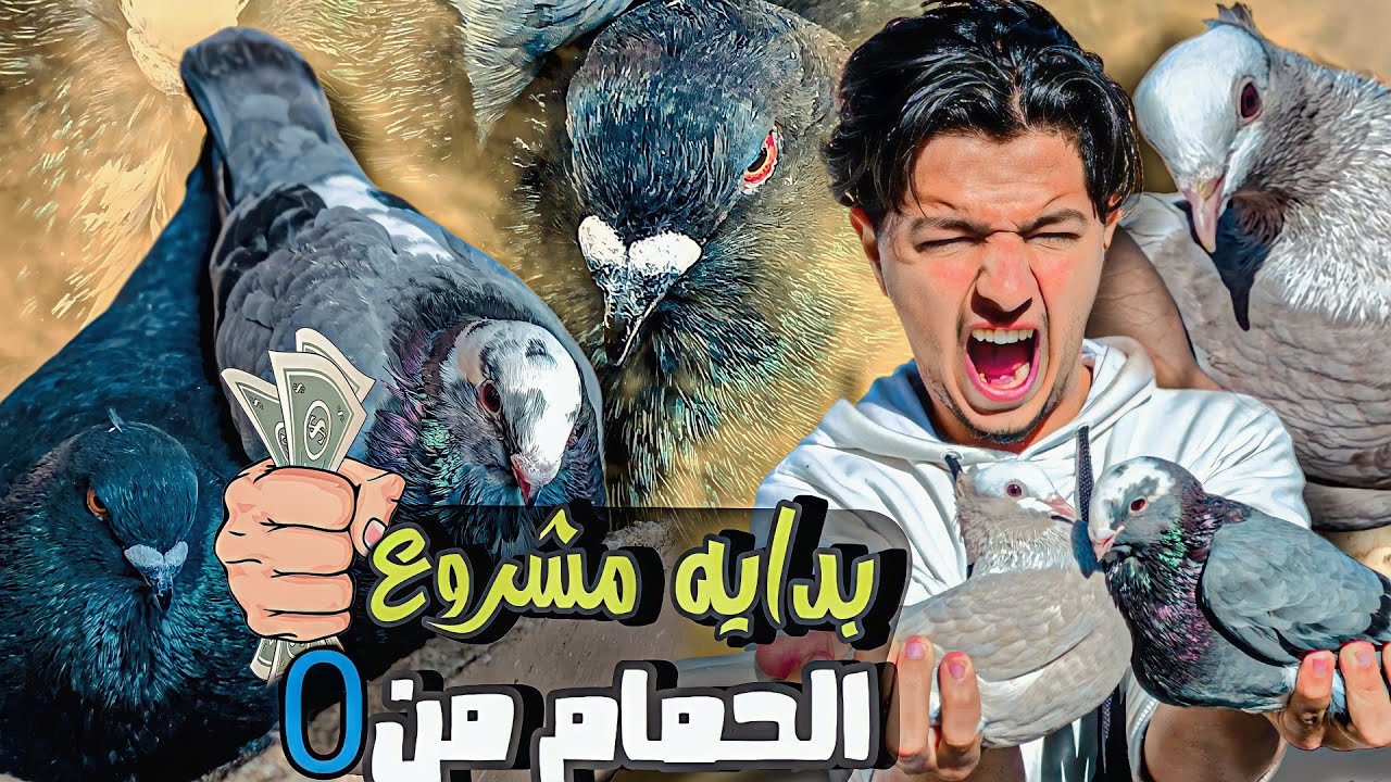 اجي تشوفوا كيفاش غادي نبدا مشروع ديال الحمام من صفر 🤩 وطلقت ذكورة يساريو باش يجيبوا شي حمامه جديدة 😂