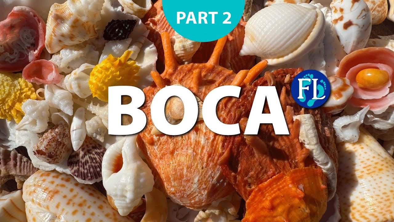 Часть 2 из 2: Добыча ракушек в Бока-Ратон 🐚 Джекпот #Раковины!