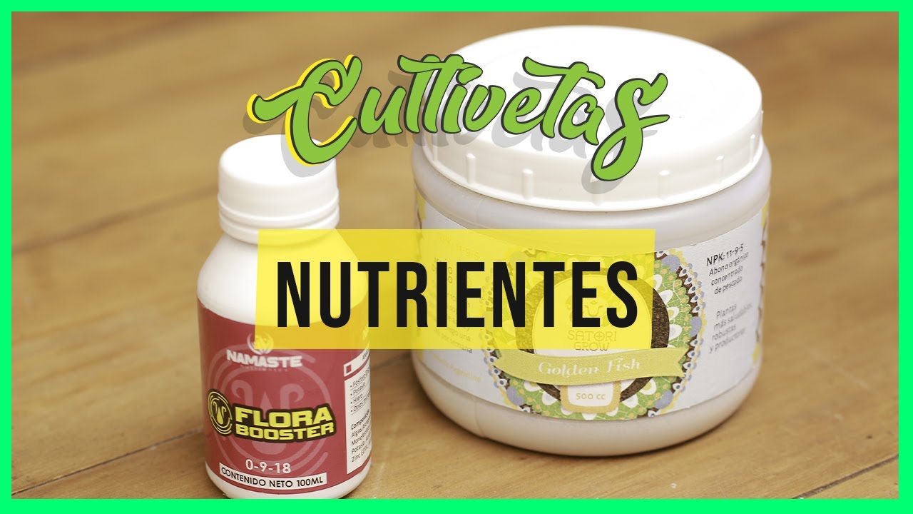 Que nutrientes necesito para mi planta de Marihuana?