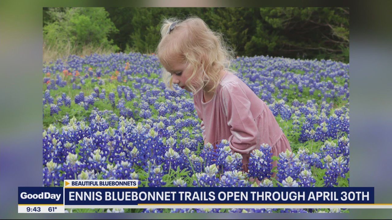 Ennis bluebonnet trails open through April 30