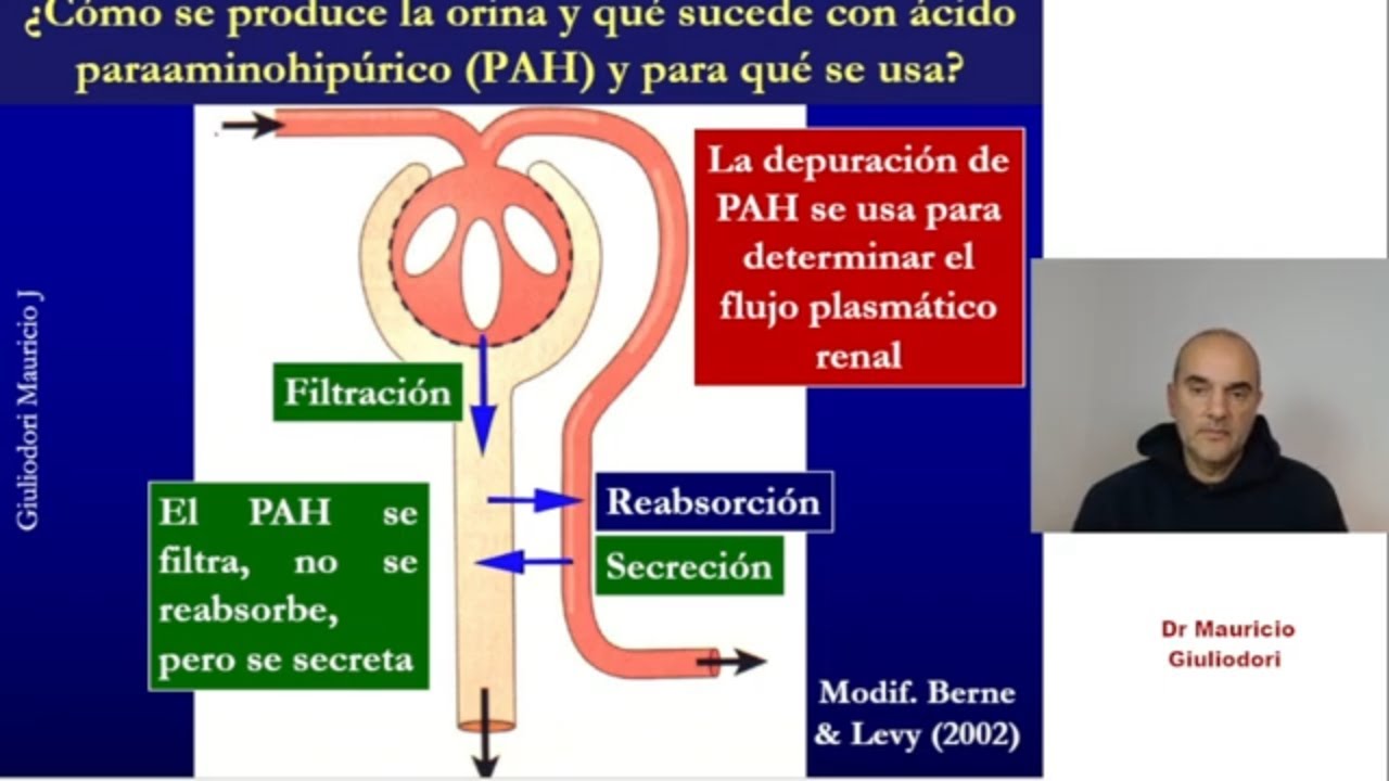 Fisiología renal: depuración aclaramiento o clearence renal rápido y sencillo