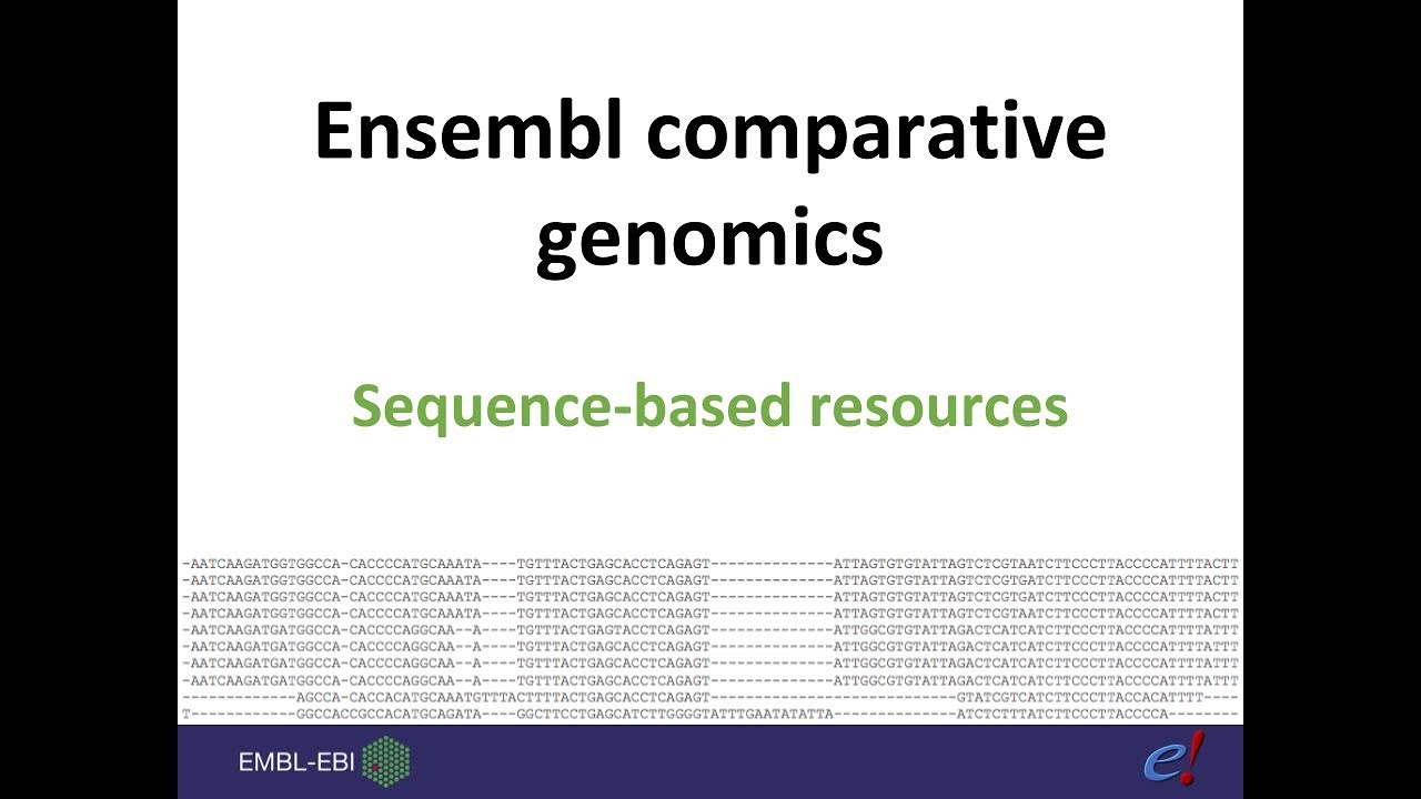 Comparative genomics data in Ensembl, 2: Whole genome alignments and synteny