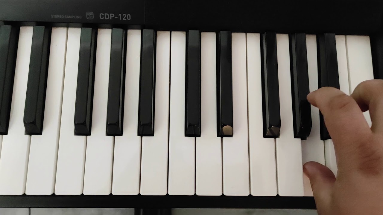 Casio CDP 120