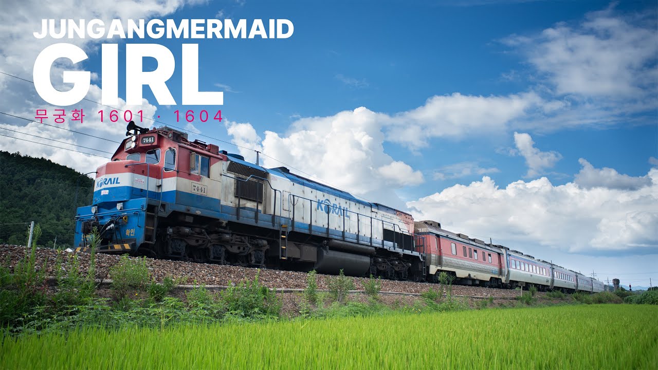 JungangMermaid Girl - KORAIL Edition