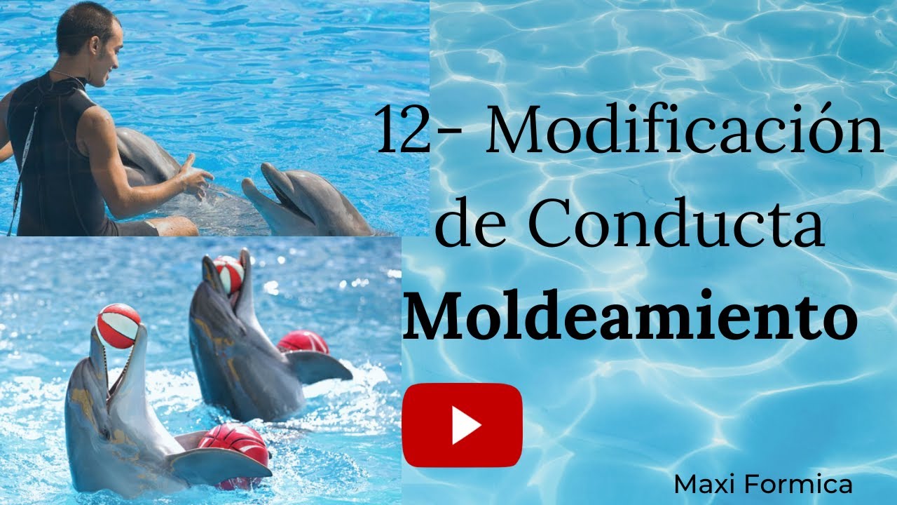 12- Moldeamiento- Modificación de conducta