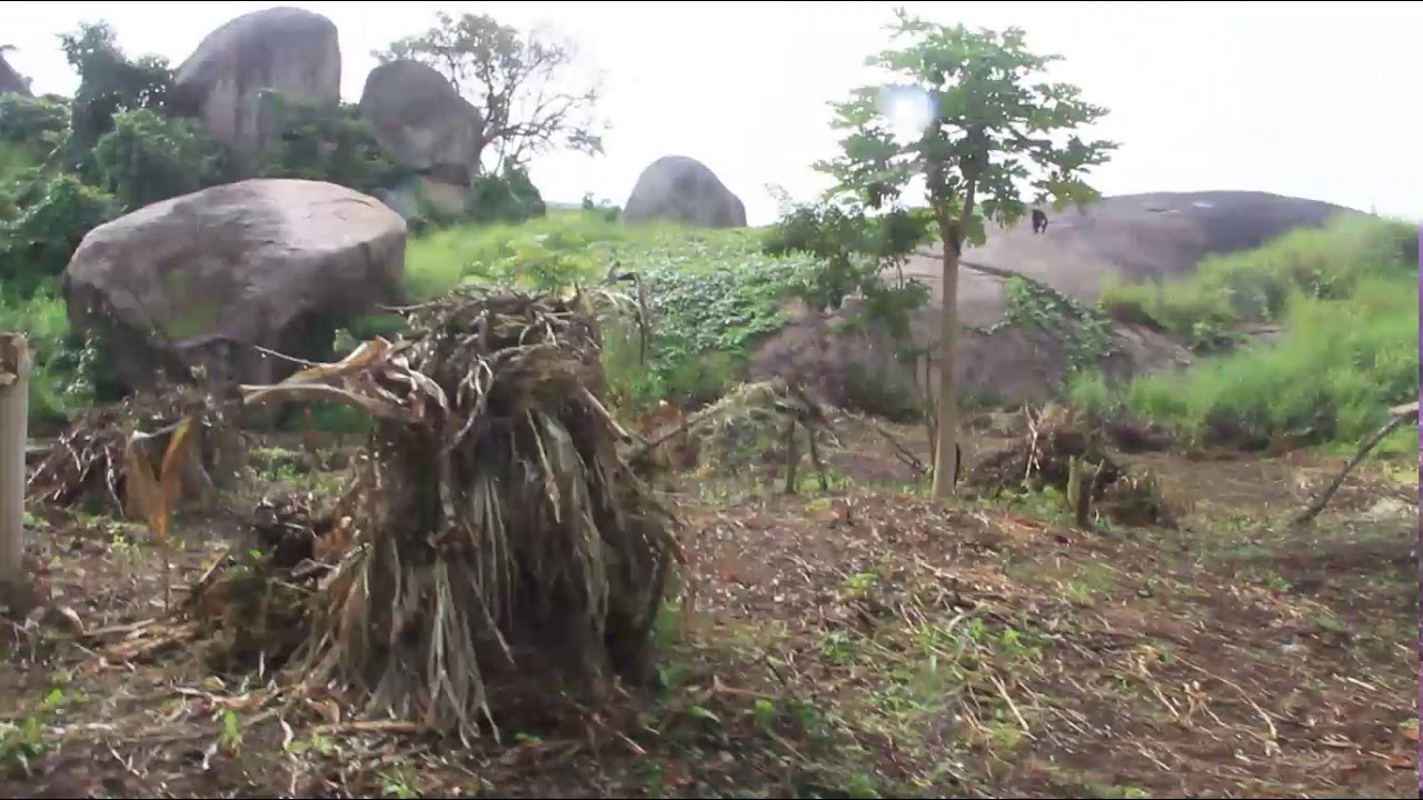 Everything You Need To Know About Idanre Hills
