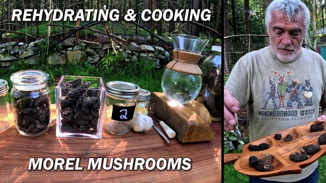 Rehydrating and Cooking Morel Mushrooms Three Different Ways