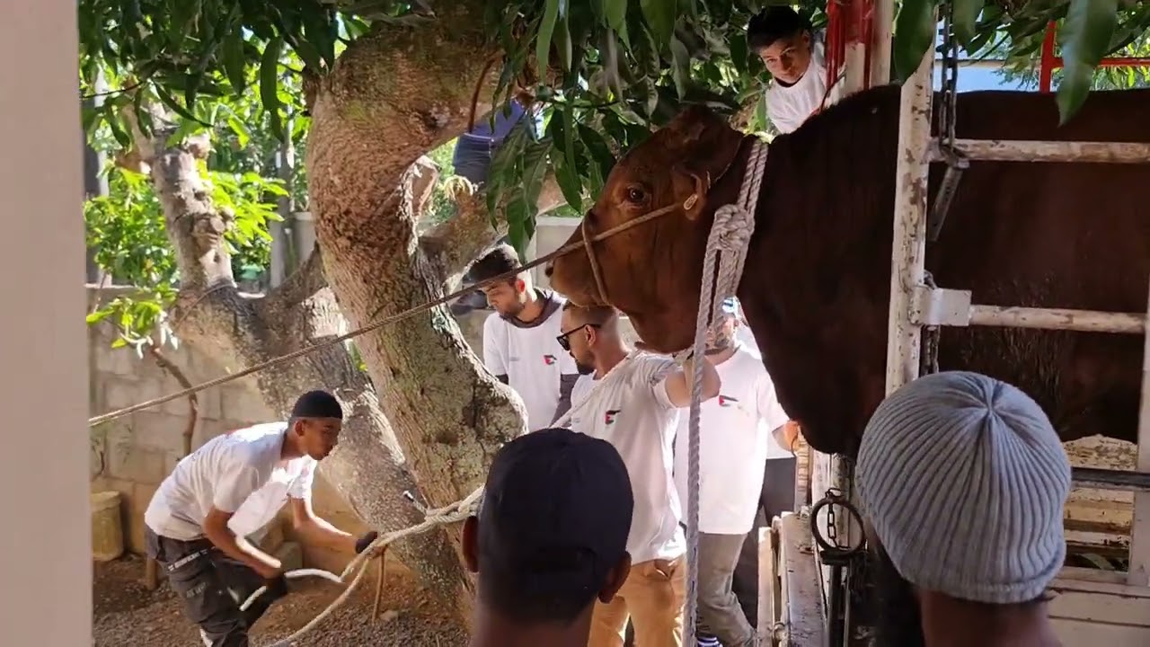 Bakrid 2023 Bull Rangers Team