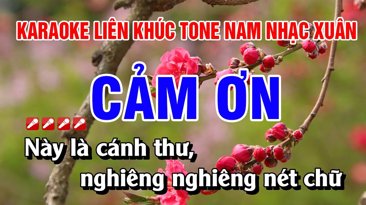 Karaoke Liên Khúc Cảm Ơn Trữ Tình Tone Nam Nhạc Xuân Hay Nhất | Nguyễn Linh