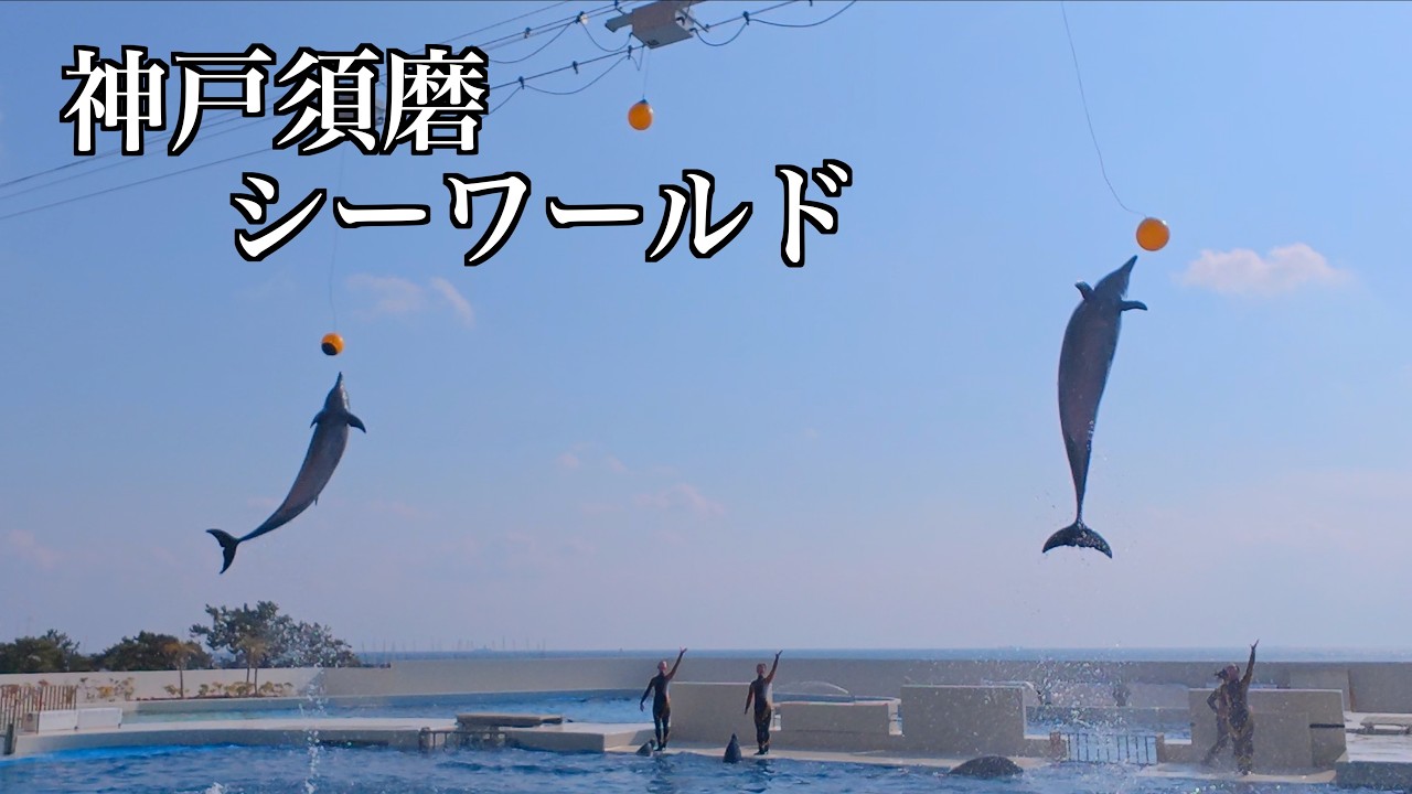 番外編 神戸須磨シーワールド