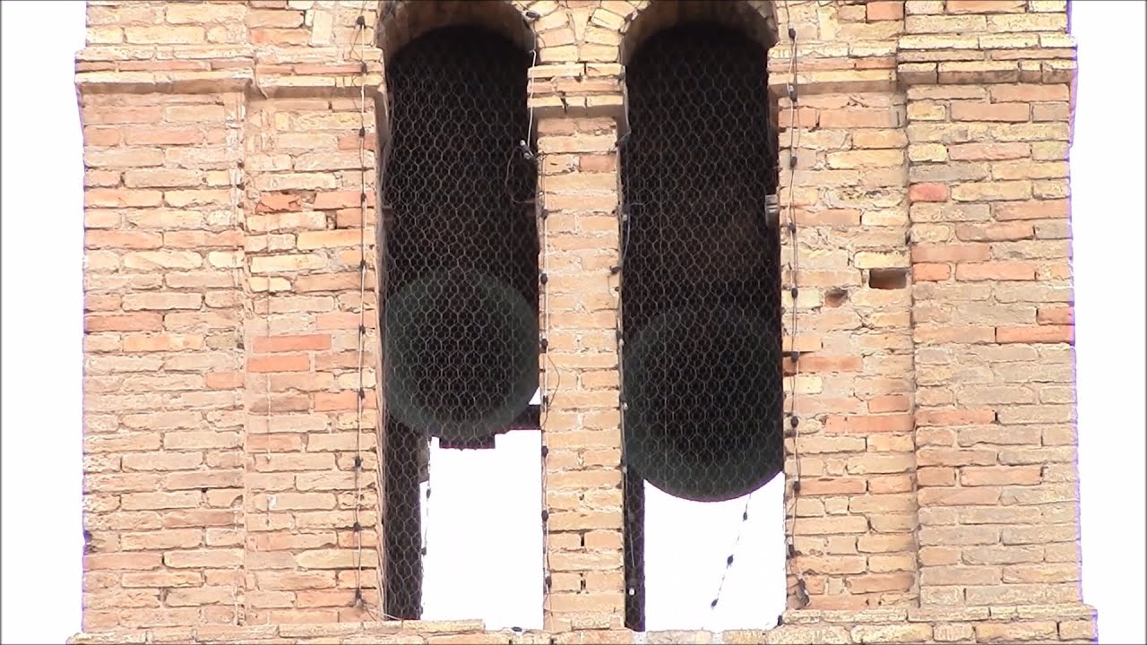 Campane della Parr. della SS.Annunziata in Porto D'Ascoli di S.Benedetto del T. (AP) v.440