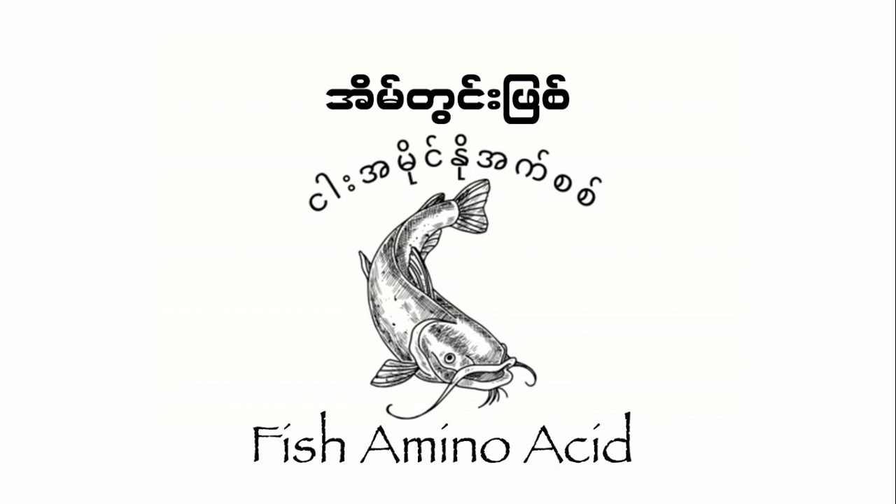 အိမ်တွင်းဖြစ် ငါးအမိုင်နိုအက်စစ်