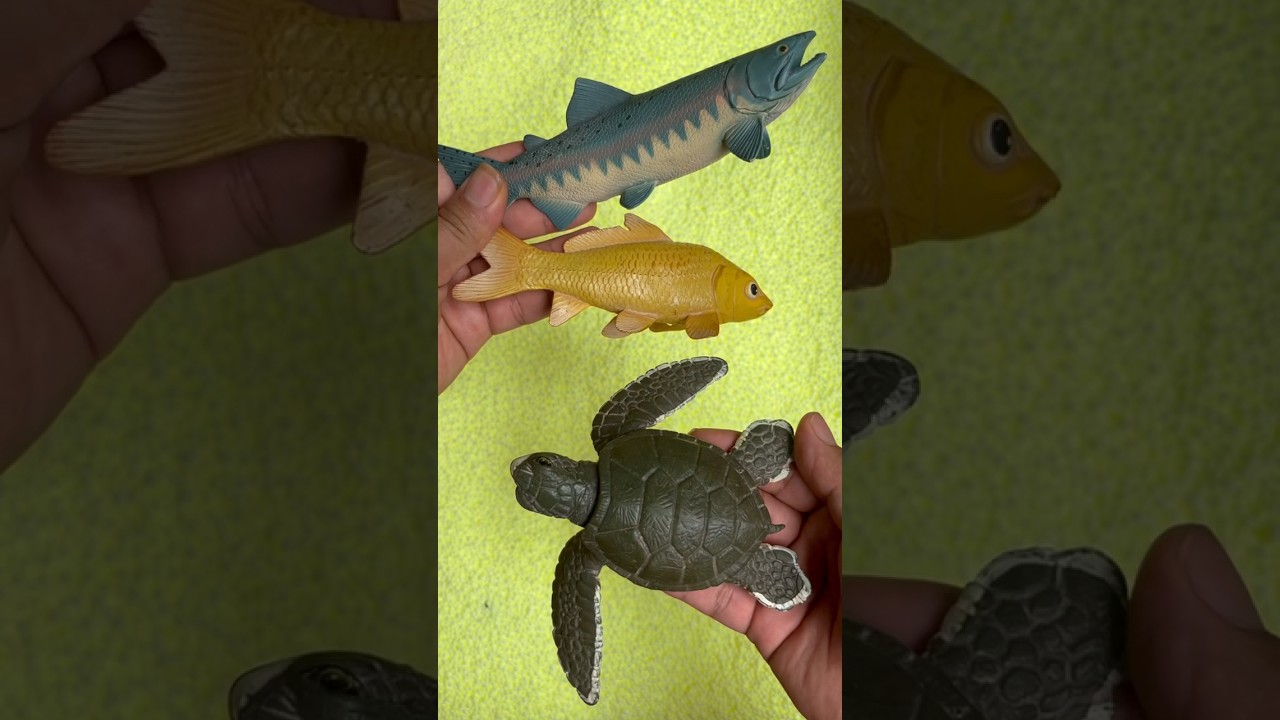 ồ, con c&aacute;, con r&ugrave;a #satisfyingvideo